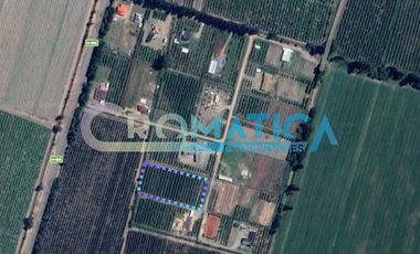 Parcela en Venta – La Lechería, Requínoa