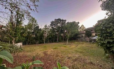 dijual Tanah shm super murah dikawasan villa pecatu bali