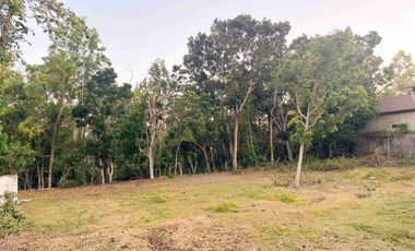 dijual Tanah shm super murah dikawasan villa pecatu bali