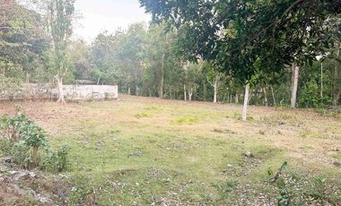 dijual Tanah shm super murah dikawasan villa pecatu bali