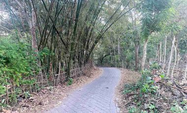 dijual Tanah shm super murah dikawasan villa pecatu bali