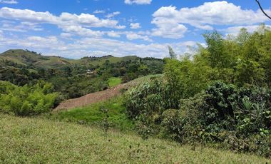 VENTA FINCA