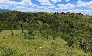 VENTA FINCA