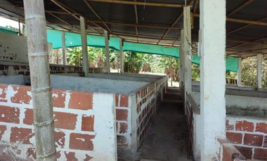 VENTA FINCA