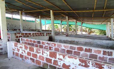 VENTA FINCA