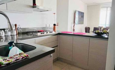 Alquilo Apartamento con hermosa vista desde el balcón