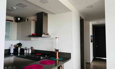 Alquilo Apartamento con hermosa vista desde el balcón