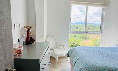 Alquilo Apartamento con hermosa vista desde el balcón