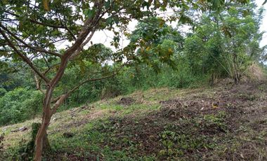 VENDO TERRENO 1000M2, URB. CASCADA AZUL, PEDRO V. MALDONADO