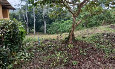 VENDO TERRENO 1000M2, URB. CASCADA AZUL, PEDRO V. MALDONADO