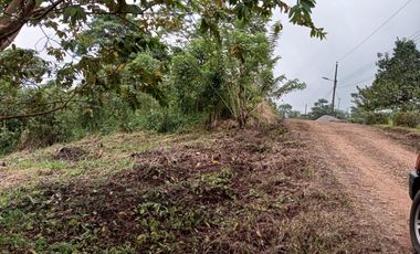 VENDO TERRENO 1000M2, URB. CASCADA AZUL, PEDRO V. MALDONADO