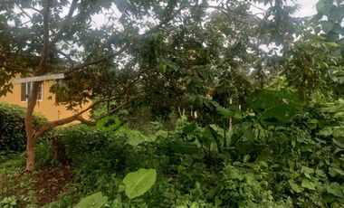 VENDO TERRENO 1000M2, URB. CASCADA AZUL, PEDRO V. MALDONADO