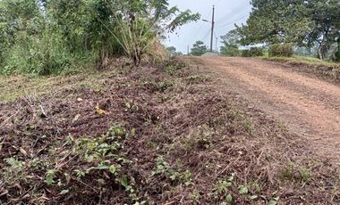 VENDO TERRENO 1000M2, URB. CASCADA AZUL, PEDRO V. MALDONADO