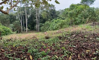 VENDO TERRENO 1000M2, URB. CASCADA AZUL, PEDRO V. MALDONADO