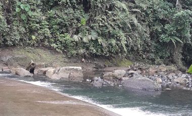 VENDO TERRENO 1000M2, URB. CASCADA AZUL, PEDRO V. MALDONADO