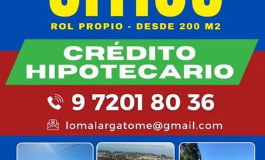 Terreno en venta en Tomé, Concepción