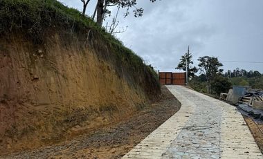SE ARRIENDA CASA FINCA, SECTOR EL TABLAZO. RIONEGRO