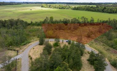 Venta Parcela en La Reserva Frutillar