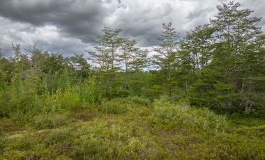 Venta Parcela en La Reserva Frutillar