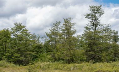 Venta Parcela en La Reserva Frutillar