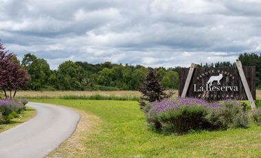 Venta Parcela en La Reserva Frutillar