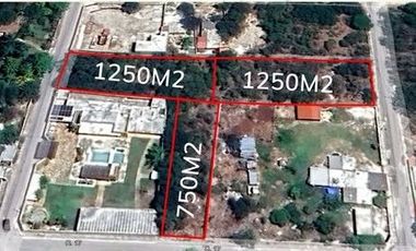 TERRENOS EN RENTA, DZITYA