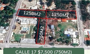 TERRENOS EN RENTA, DZITYA