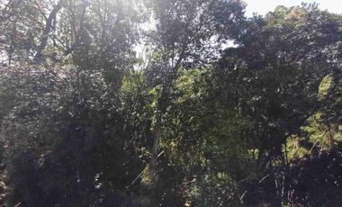 Casa en venta en El Poblado - La Frontera