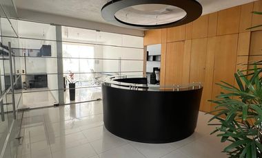 RENTA DE OFICINAS EN DOMINGO DIEZ CUERNAVACA MORELOS MARAVILLAS