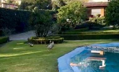 VENDO ESPECTACULAR RESIDENCIA  EN CALLE CERRADA VISTA DEL VALLE