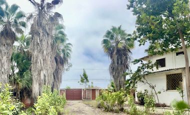 COSTA DE ORO: AMPLIO TERRENO CON CASA Y PALMERAS