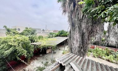 COSTA DE ORO: AMPLIO TERRENO CON CASA Y PALMERAS