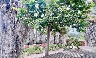 COSTA DE ORO: AMPLIO TERRENO CON CASA Y PALMERAS
