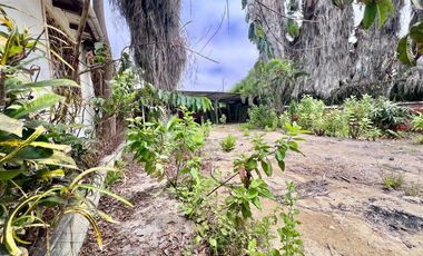 COSTA DE ORO: AMPLIO TERRENO CON CASA Y PALMERAS