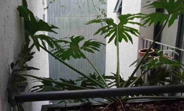 Hermoso Loft Amueblado en Venta en El Corazón del Centro Histórico de La Ciudad de México