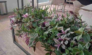 Hermoso Loft Amueblado en Venta en El Corazón del Centro Histórico de La Ciudad de México