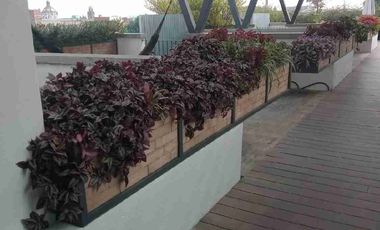 Hermoso Loft Amueblado en Venta en El Corazón del Centro Histórico de La Ciudad de México