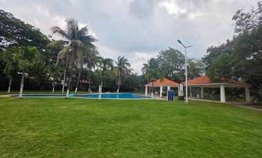 Departamento Renta Real de Minas