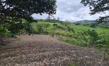 En venta terreno en Malacatos sector la granja a pocos minutos del centro del pueblo