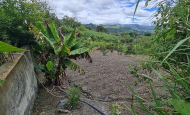 En venta terreno en Malacatos sector la granja a pocos minutos del centro del pueblo
