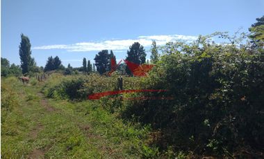 Terreno de Una Hectarea, Sector Santa Clara, Comuna de los Angeles, Region del Bio Bio.