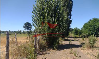 Terreno de Una Hectarea, Sector Santa Clara, Comuna de los Angeles, Region del Bio Bio.