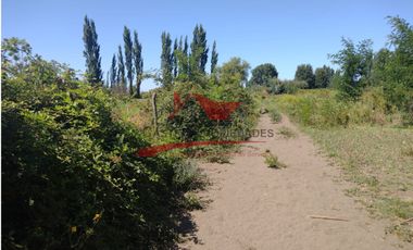Terreno de Una Hectarea, Sector Santa Clara, Comuna de los Angeles, Region del Bio Bio.