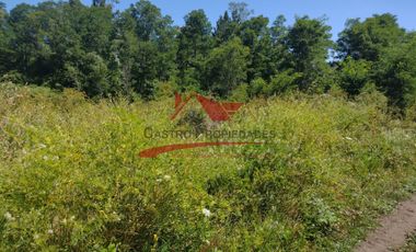 Terreno de Una Hectarea, Sector Santa Clara, Comuna de los Angeles, Region del Bio Bio.