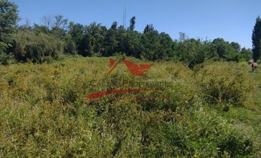 Terreno de Una Hectarea, Sector Santa Clara, Comuna de los Angeles, Region del Bio Bio.