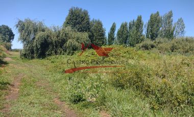 Terreno de Una Hectarea, Sector Santa Clara, Comuna de los Angeles, Region del Bio Bio.