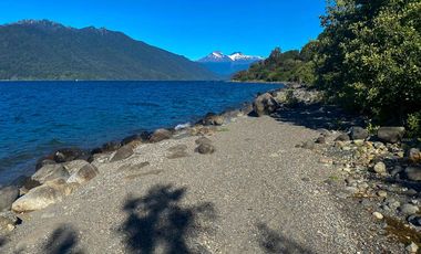 Parcela Independiente de 5.154 m² con 153,5 m de orilla de Lago Riñihue – Vista al Volcán Mocho Choshuenco Ribera Sur – Región de Los Ríos