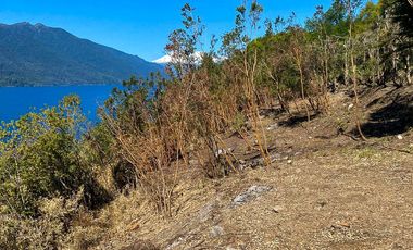 Parcela Independiente de 5.154 m² con 153,5 m de orilla de Lago Riñihue – Vista al Volcán Mocho Choshuenco Ribera Sur – Región de Los Ríos