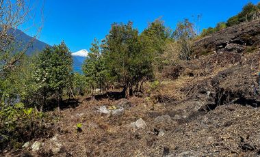 Parcela Independiente de 5.154 m² con 153,5 m de orilla de Lago Riñihue – Vista al Volcán Mocho Choshuenco Ribera Sur – Región de Los Ríos