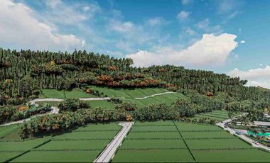 Terreno en Venta en Urbanización Privada en Mindo